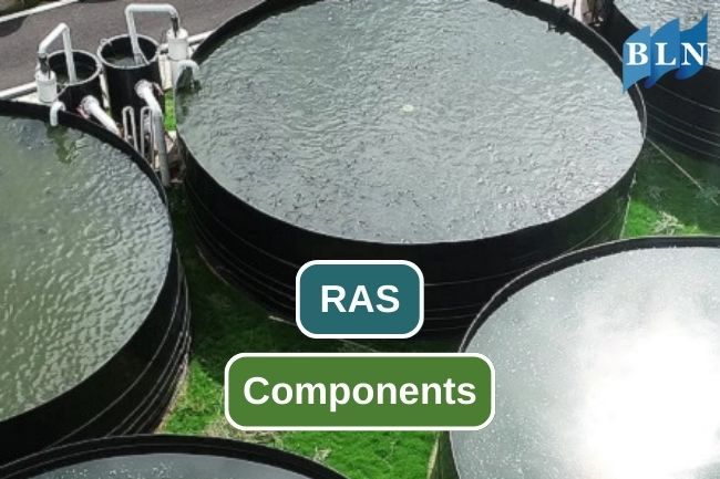 Learn The 12 Components Used in RAS Cultivation